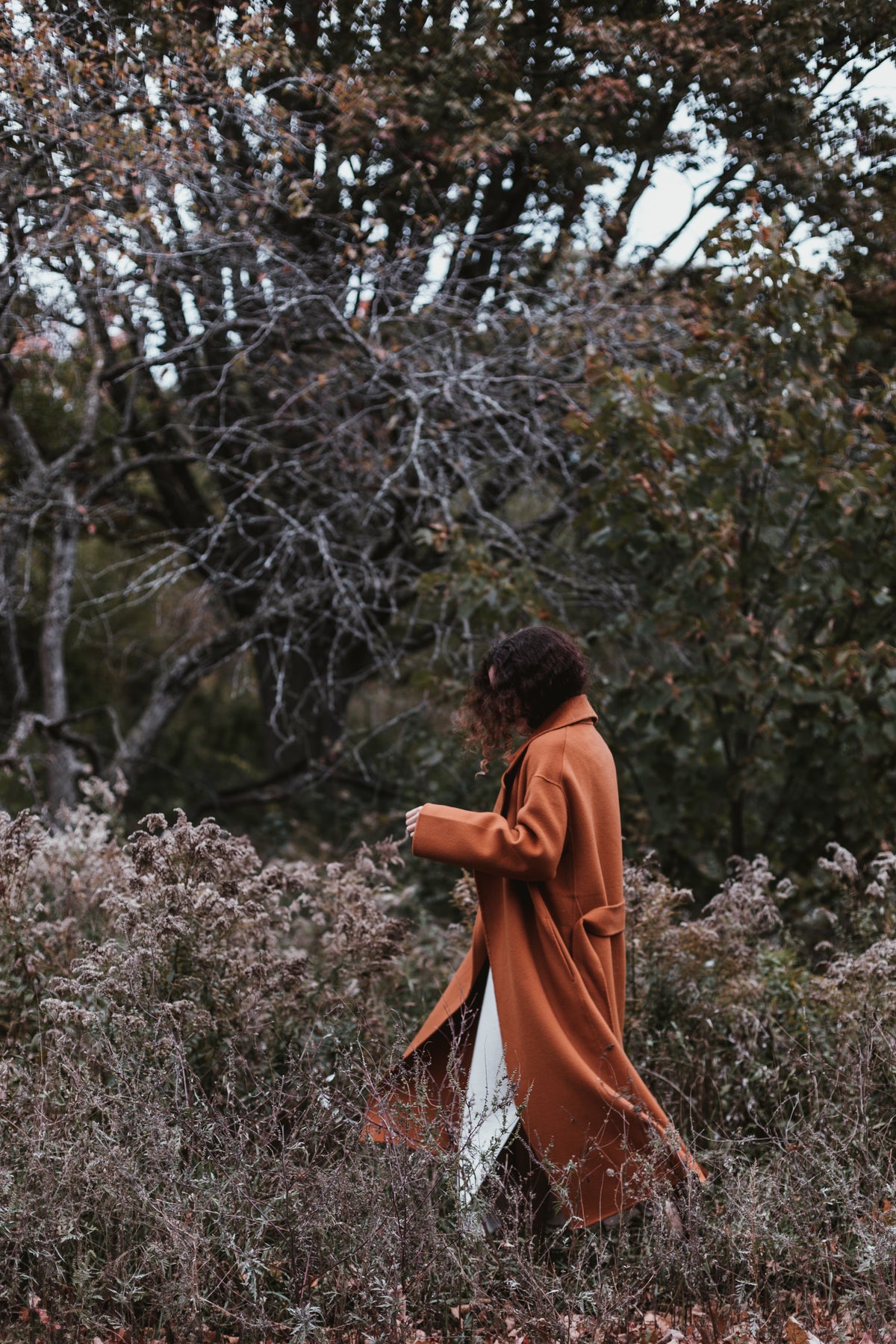 womens collection